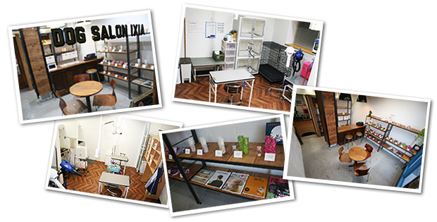 宗像ドックサロンイキシア内観