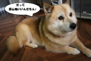 施術後ミックス