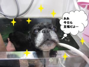 スパ中ミックス