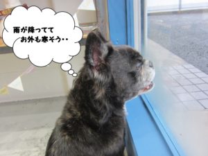 施術後ミックス