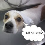 スパ中ゆったりミックス