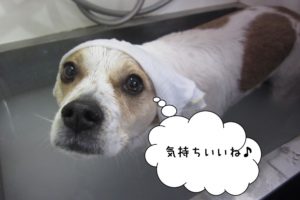 スパ中ゆったりミックス