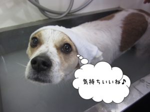 スパ中ゆったりミックス