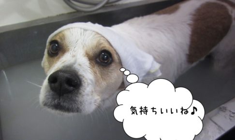 スパ中ゆったりミックス