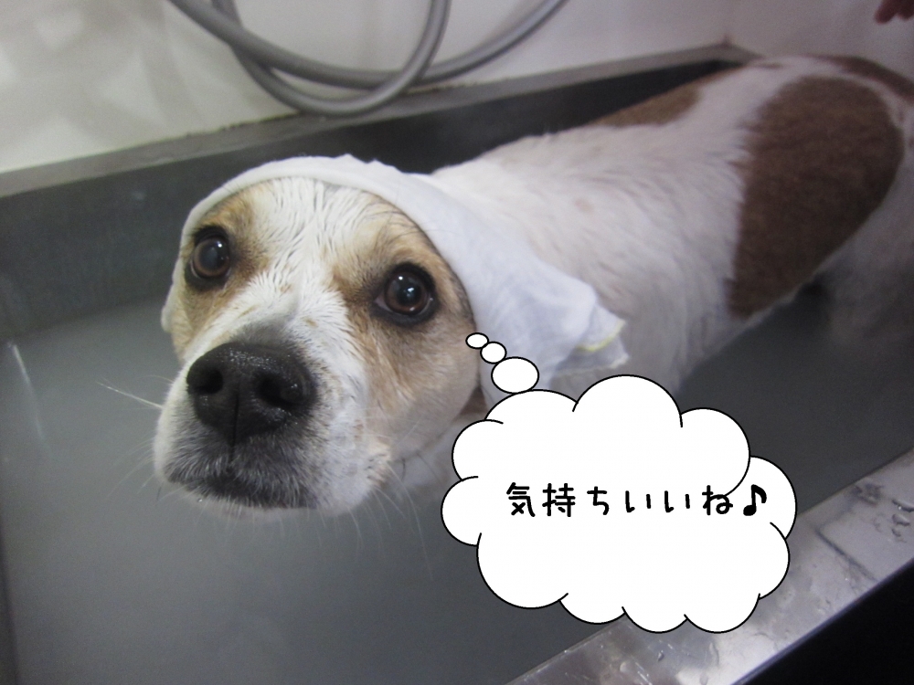 スパ中ゆったりミックス