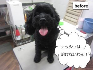 施術前黒ミックス