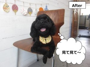 施術後黄リボン黒ミックス