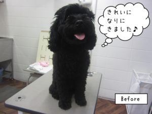 カット前ミックス