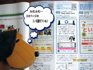 むなふ１１月号