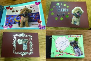 プレゼントアルバム