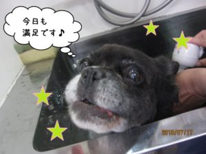 スパ中ミックス