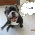 施術前ミックス