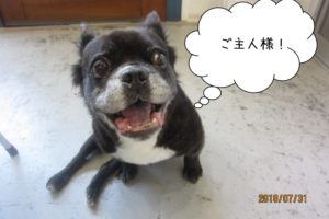 施術前ミックス