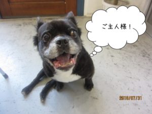 施術前ミックス