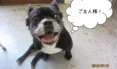 施術前ミックス