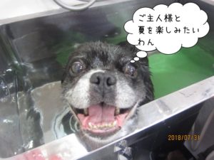 スパ中ミックス