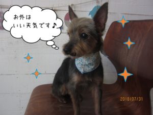 施術後ミックス