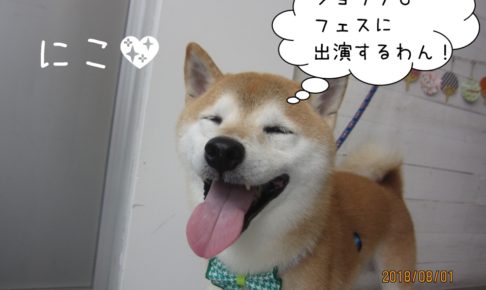 にっこり柴犬