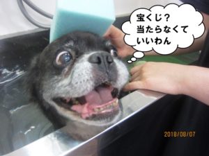 スパ中ミックス