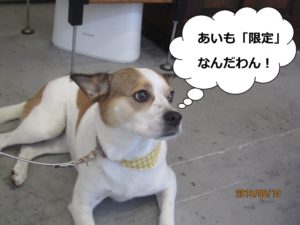 一休みミックス