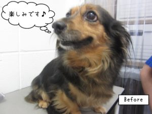 施術前ミックス