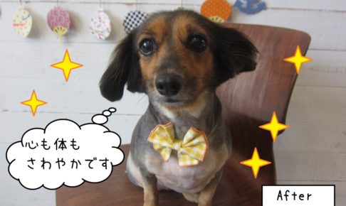 おめめぱっちりミックス