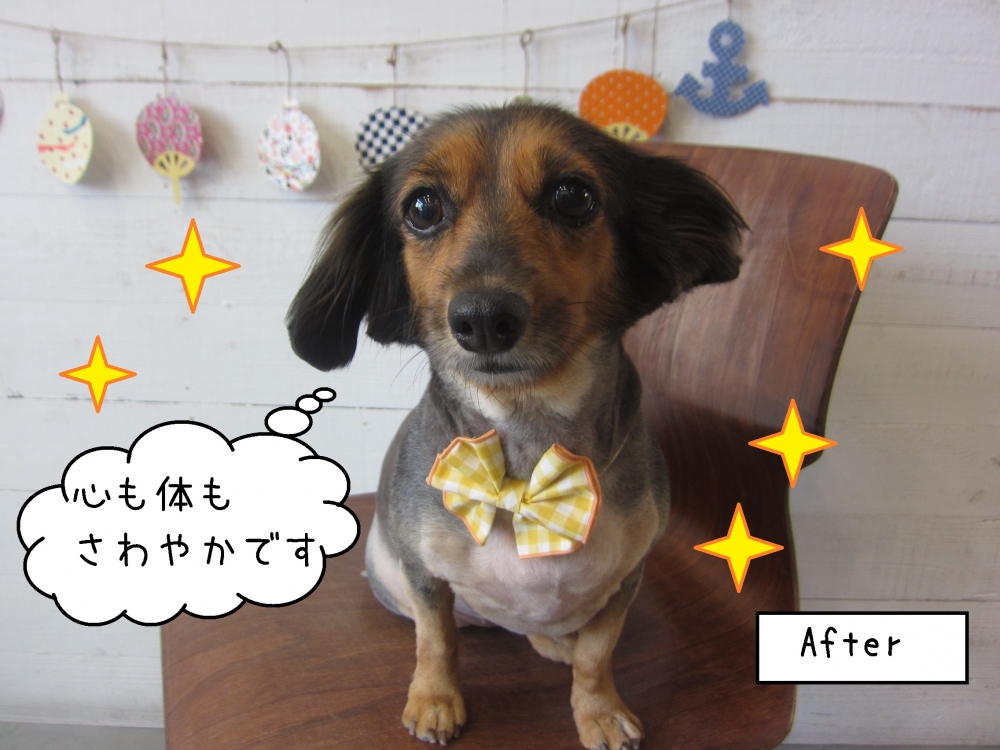 おめめぱっちりミックス