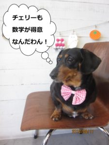 ミニチュアダックス横顔