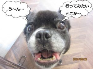 アップミックス