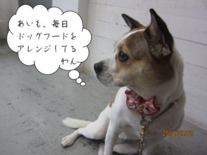 横顔ミックス犬