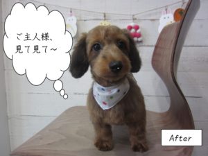 スヌーピー似の茶ミックス