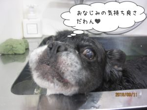 スパ中ミックス