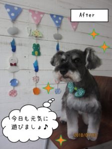 えっへんMシュナ