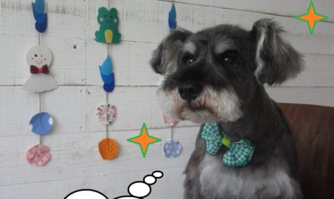 えっへんMシュナ