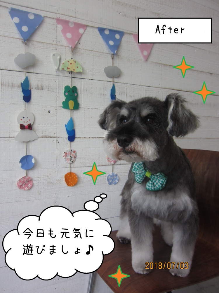 えっへんMシュナ