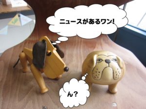 むなふ１１月号１