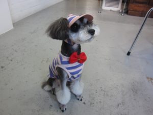 アイエムギャラリーベル