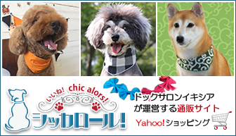 シッカロール！バナー