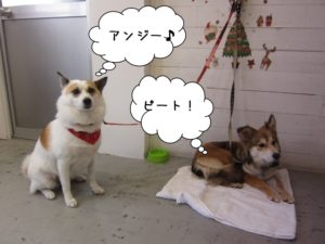 クリスマスミックス