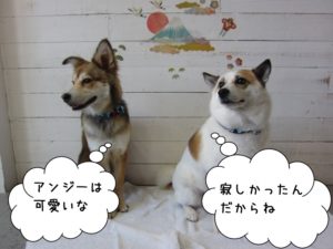 施術後ミックス