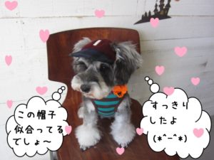 洋服帽子可愛いMシュナ