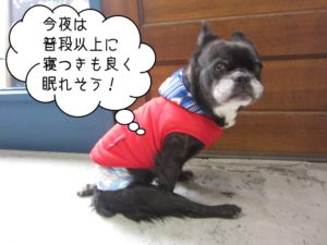 おすわりミックス