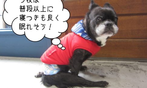 おすわりミックス