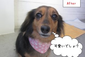 満足げミックス