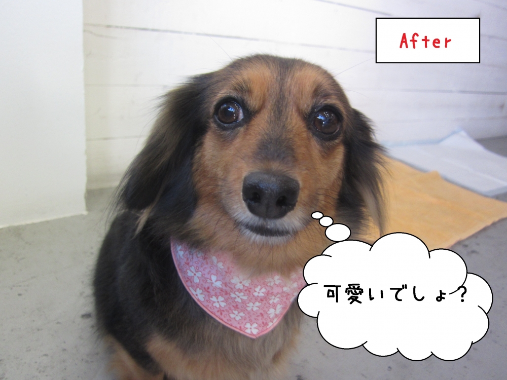 満足げミックス