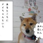 まったり柴犬