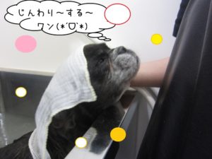 スパ中ミックス