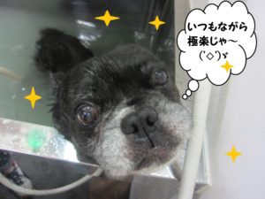 スパ中ミックス