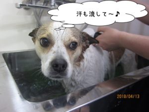 スパ中ミックス