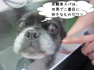 スパ中ミックス